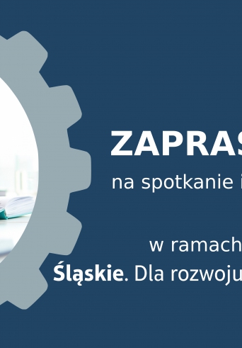 Spotkanie informacyjne w ramach projektu Śląskiego.