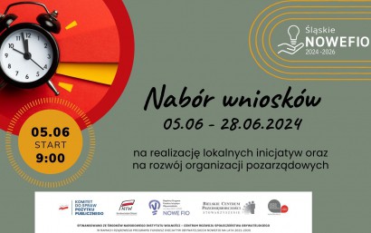 Nabór wniosków w konkursie na realizację lokalnych inicjatyw oraz na rozwój instytucjonalny organizacji pozarządowych