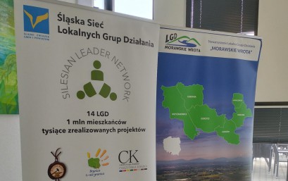 Podsumowanie spotkania Lokalnych Grup Działania z terenu woj. śląskiego